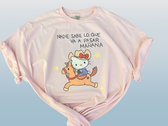 Bad Kitty Nadie Sabe Shirt