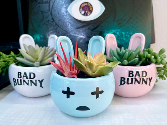Bad Bunny Artificial Succulent Plant