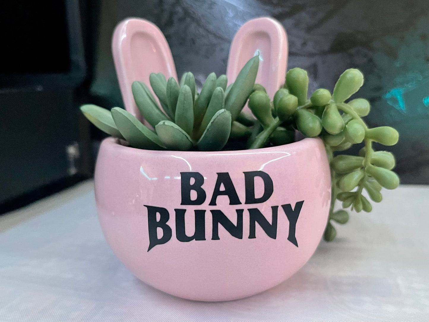 Bad Bunny Artificial Succulent Plant